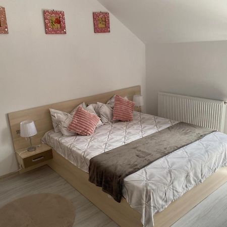 Rebeca Apartament Lugoj Eksteriør billede